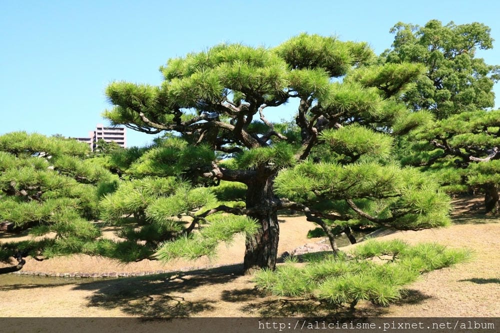 【香川縣】栗林公園：米其林三星景點、四季都值得專程前來的日式庭園
