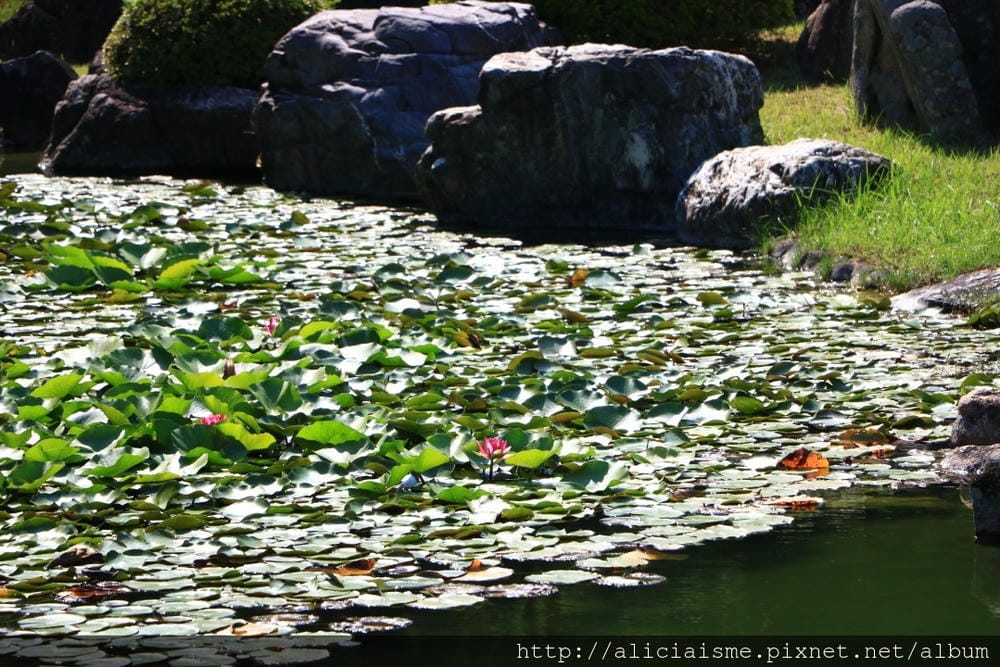 【香川縣】栗林公園：米其林三星景點、四季都值得專程前來的日式庭園