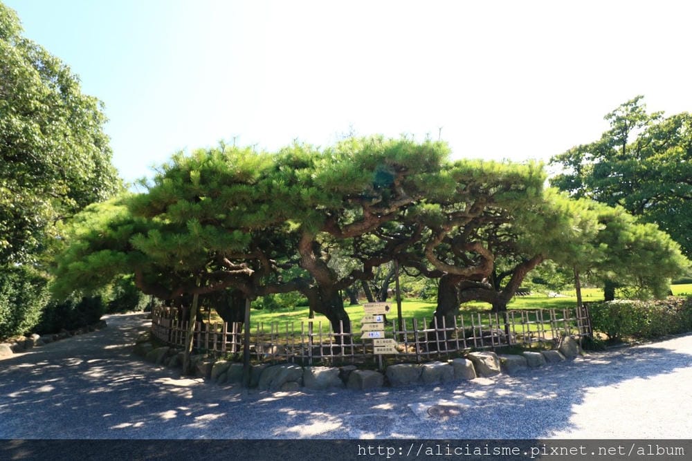 【香川縣】栗林公園：米其林三星景點、四季都值得專程前來的日式庭園