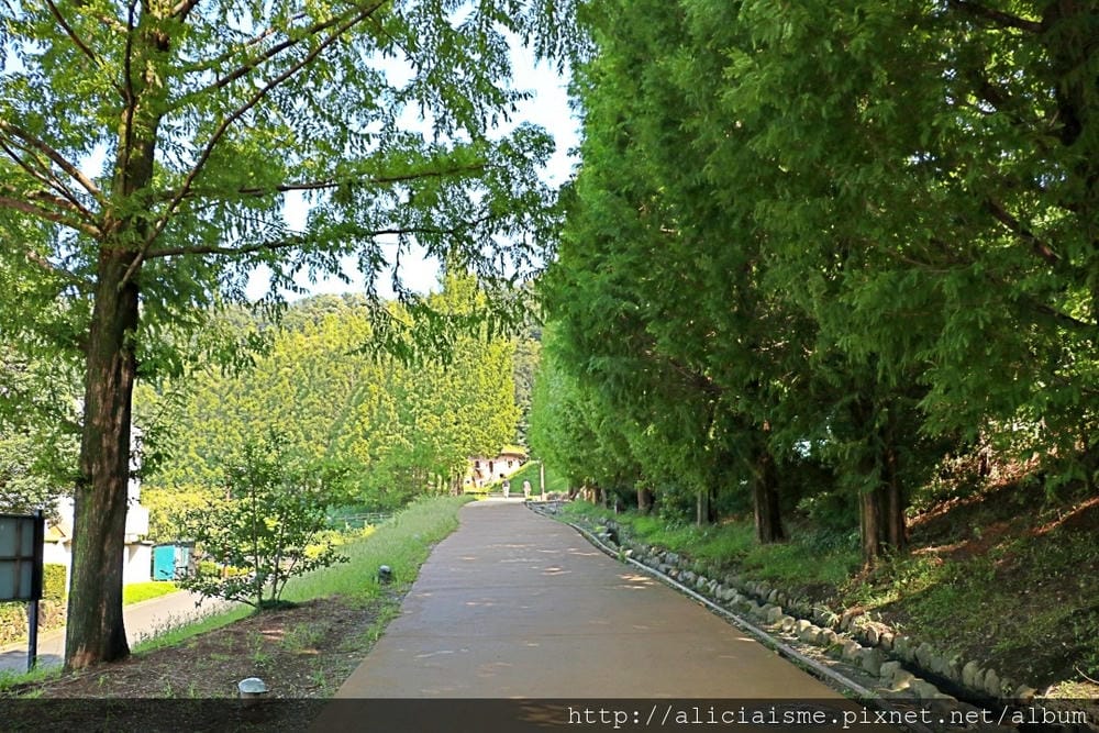 【埼玉縣】曙光兒童森林公園～嚕嚕米公園裡，來姆明谷的童趣探險＠飯能市