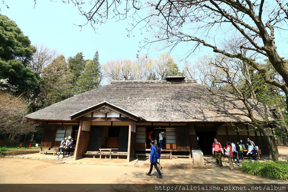 【東京都】（2018更新）櫻花漫舞的小金井公園&江戶東京建築園, 與神隱少女不期而遇!