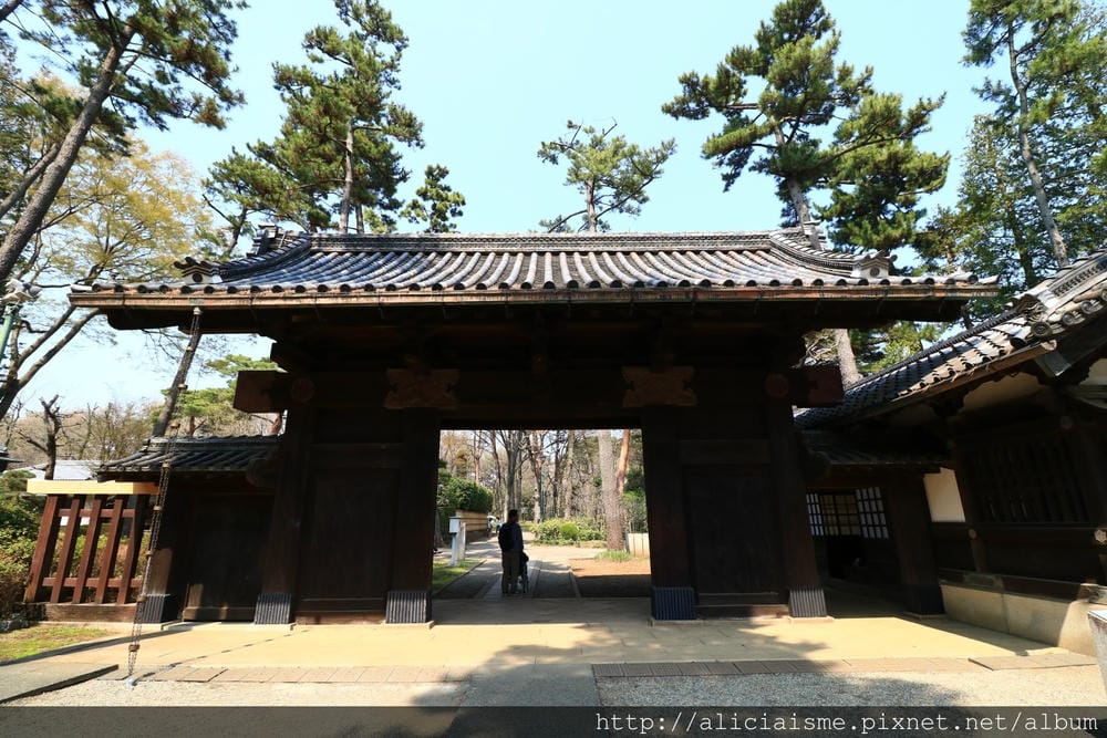 【東京都】(2018更新)櫻花漫舞的小金井公園&江戶東京建築園, 與神隱少女不期而遇!