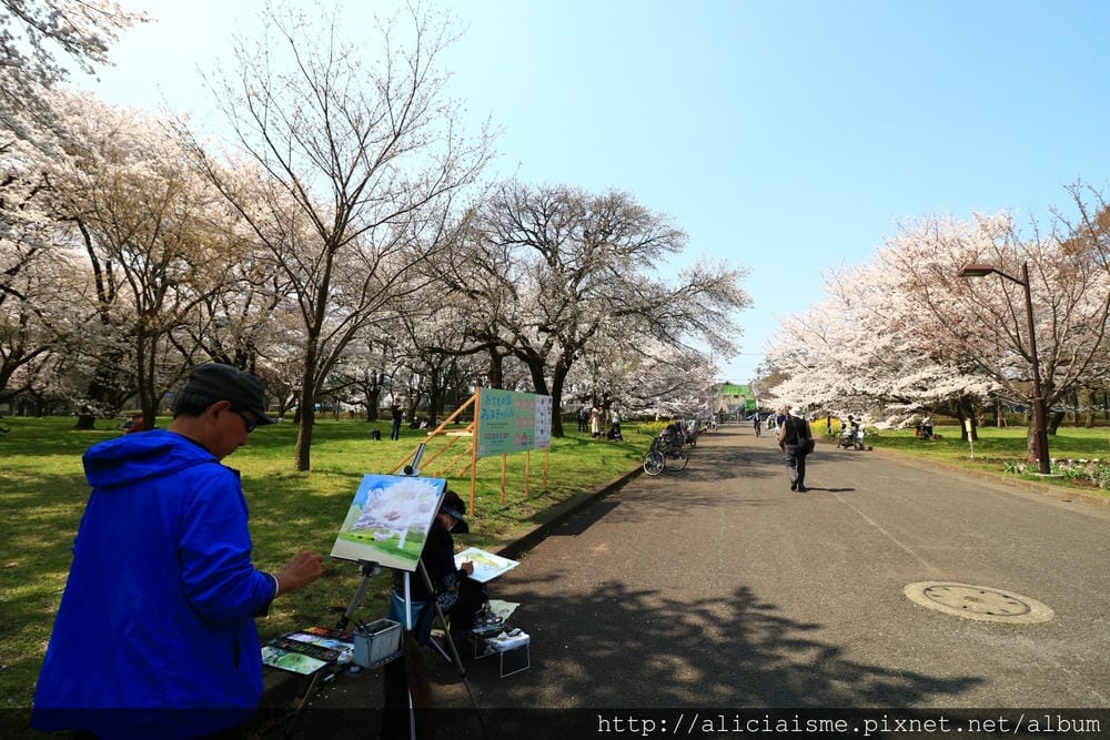 【東京都】(2018更新)櫻花漫舞的小金井公園&江戶東京建築園, 與神隱少女不期而遇!