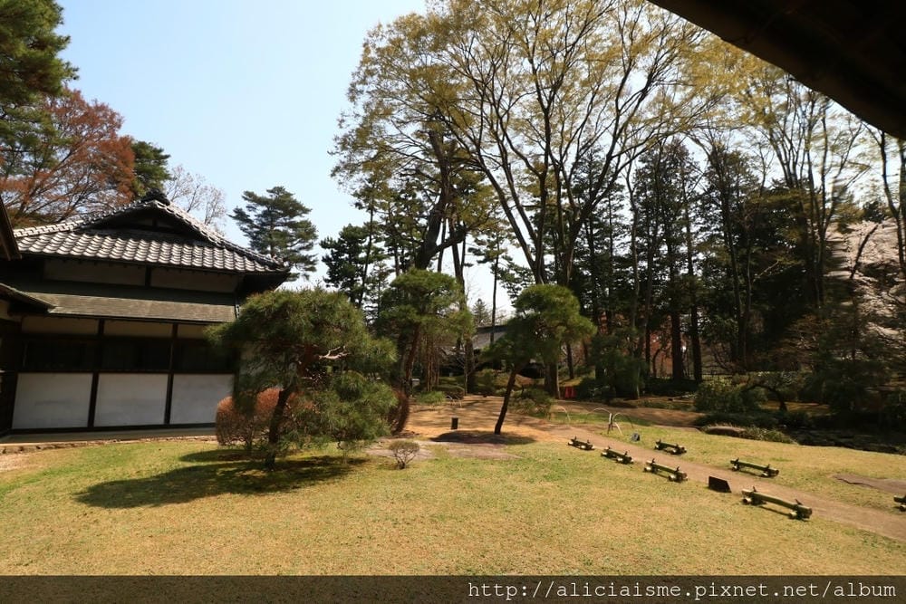 【東京都】(2018更新)櫻花漫舞的小金井公園&江戶東京建築園, 與神隱少女不期而遇!
