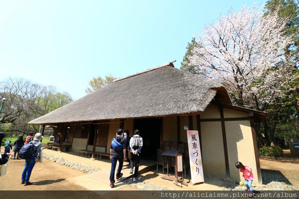 【東京都】(2018更新)櫻花漫舞的小金井公園&江戶東京建築園, 與神隱少女不期而遇!