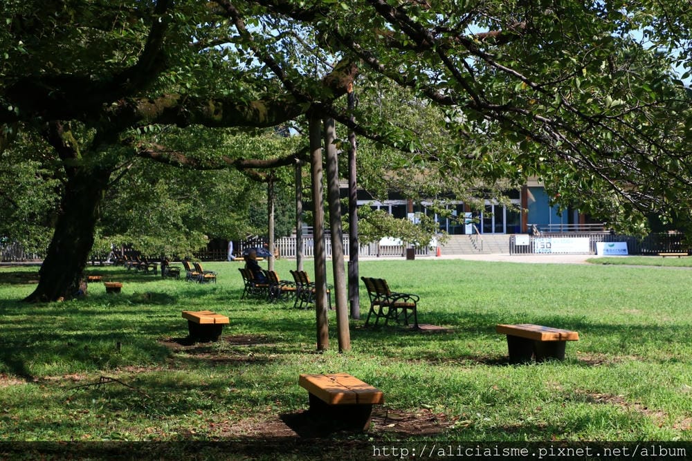 【東京都】(2018更新)櫻花漫舞的小金井公園&江戶東京建築園, 與神隱少女不期而遇!