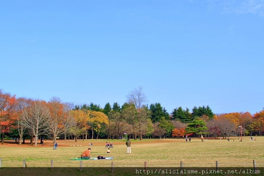 【東京都】(2018更新)櫻花漫舞的小金井公園&江戶東京建築園, 與神隱少女不期而遇!
