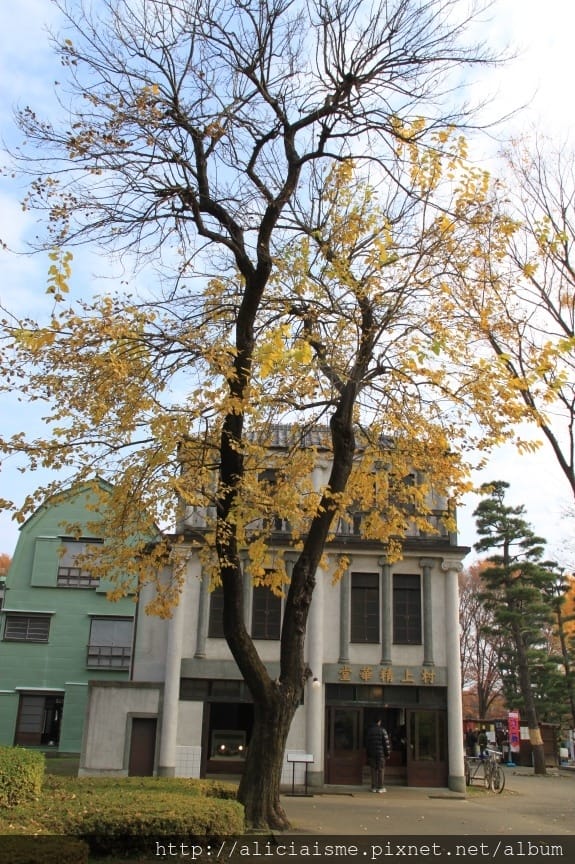 【東京都】（2018更新）櫻花漫舞的小金井公園&江戶東京建築園, 與神隱少女不期而遇!