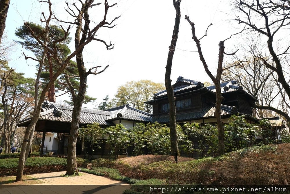 【東京都】(2018更新)櫻花漫舞的小金井公園&江戶東京建築園, 與神隱少女不期而遇!
