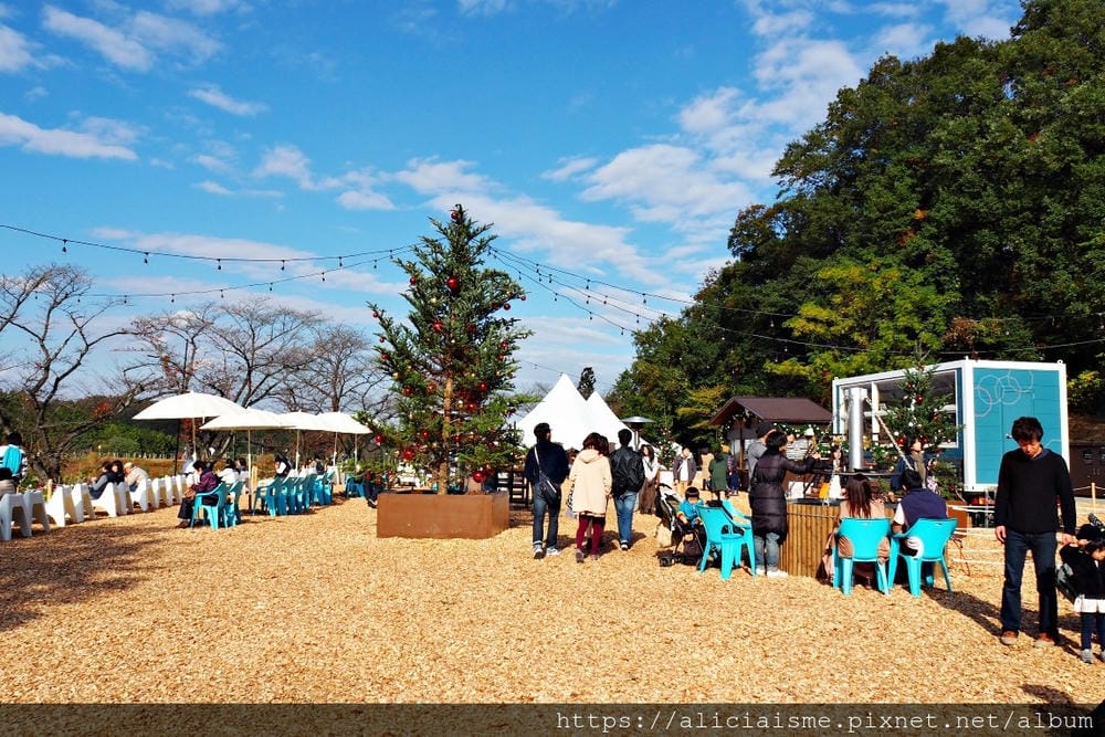 【交通票券】西武鐵道一日券,來趟東京近郊〈埼玉縣〉熱門、秘境小旅行