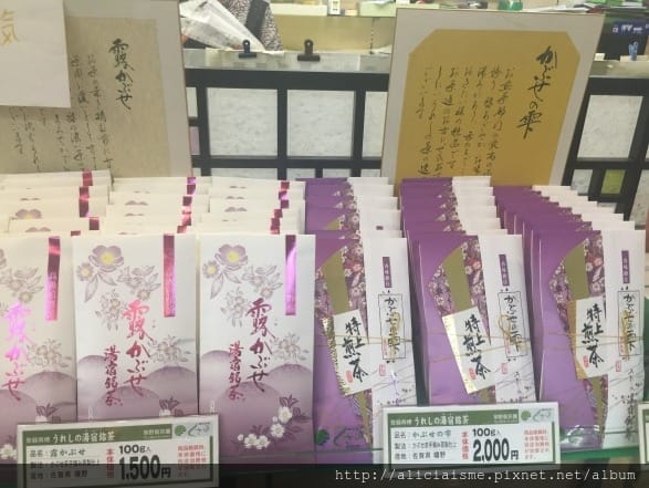【佐賀縣】嬉野溫泉半日散策：豐玉姬神社拜鯰魚求美肌、湯宿廣場蒸足浴、茶葉蒸蛋、嬉野紅茶雙淇淋、西博爾德湯的大正風情與湯浴
