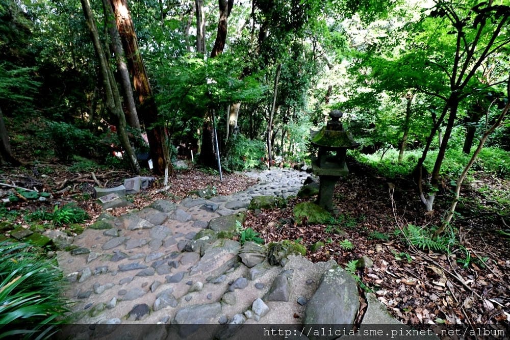 【佐賀縣】祐德稻荷神社:來到日本三大稻荷求”運氣向上”,奧之院登高一攬美景