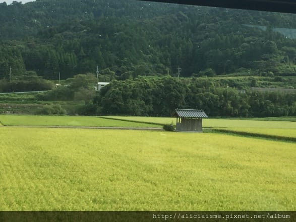 【佐賀縣】祐德稻荷神社:來到日本三大稻荷求”運氣向上”,奧之院登高一攬美景