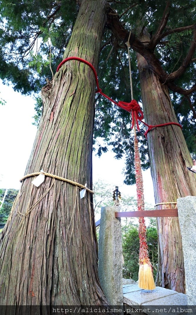 【佐賀縣】1300年武雄溫泉一日散策(行程規劃):武雄樓門找秘密;餃子會館的地方滋味;武雄神社的千年巨楠樹、武雄市圖書館、兒童圖書館、武雄佐賀牛鐵道便當