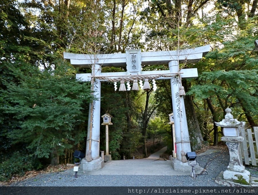 【佐賀縣】1300年武雄溫泉一日散策(行程規劃):武雄樓門找秘密;餃子會館的地方滋味;武雄神社的千年巨楠樹、武雄市圖書館、兒童圖書館、武雄佐賀牛鐵道便當