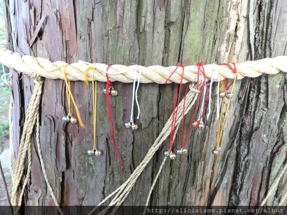 【佐賀縣】1300年武雄溫泉一日散策(行程規劃):武雄樓門找秘密;餃子會館的地方滋味;武雄神社的千年巨楠樹、武雄市圖書館、兒童圖書館、武雄佐賀牛鐵道便當