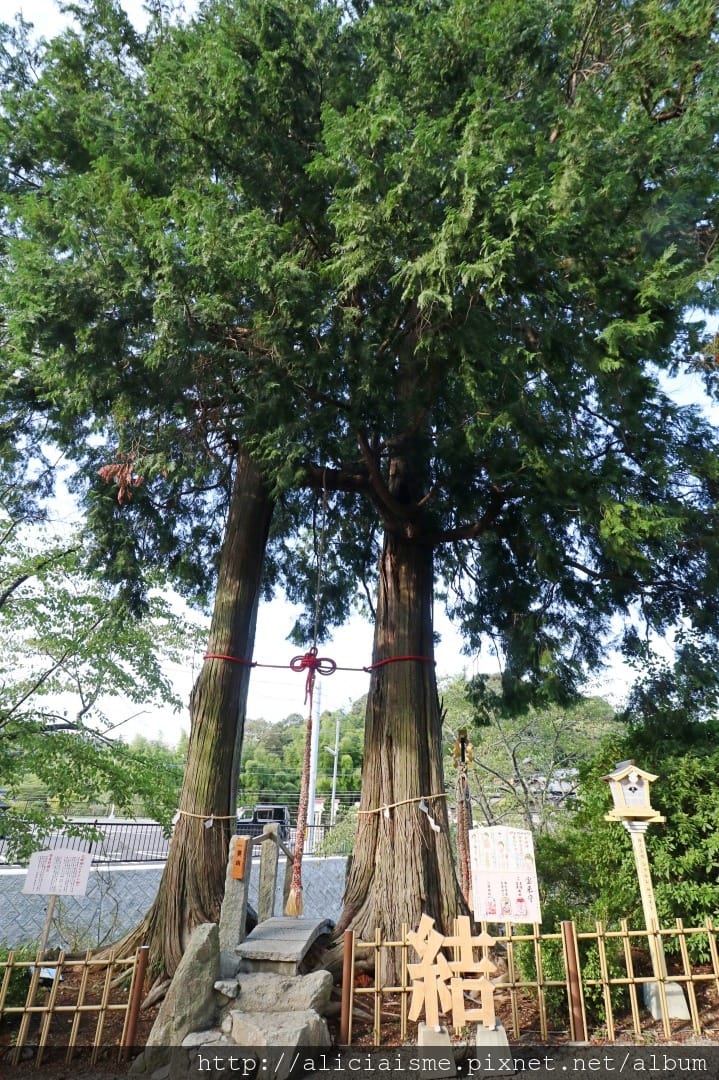 【佐賀縣】1300年武雄溫泉一日散策（行程規劃）：武雄樓門找秘密；餃子會館的地方滋味；武雄神社的千年巨楠樹、武雄市圖書館、兒童圖書館、武雄佐賀牛鐵道便當