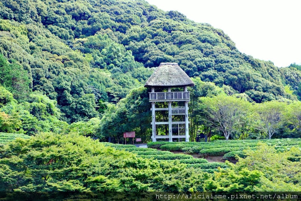 【佐賀縣】慧洲園(陽光美術館):漫步在中根金作巧思的日式庭園傑作,收藏武雄溫泉最細膩的風景畫