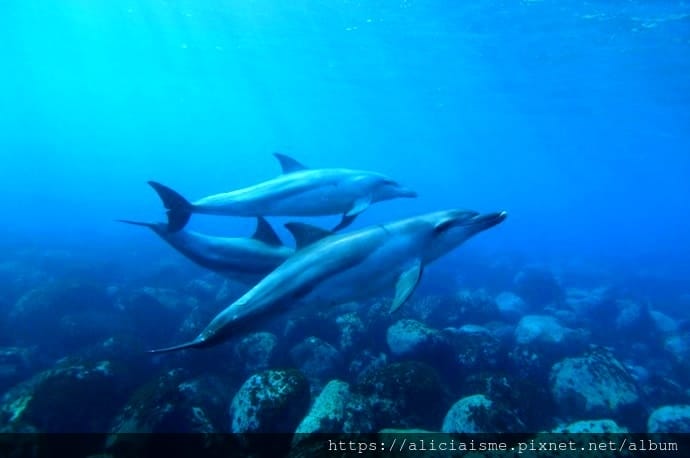 【2018旅展】2018ITF台北國際旅展&「御藏島」演講資訊