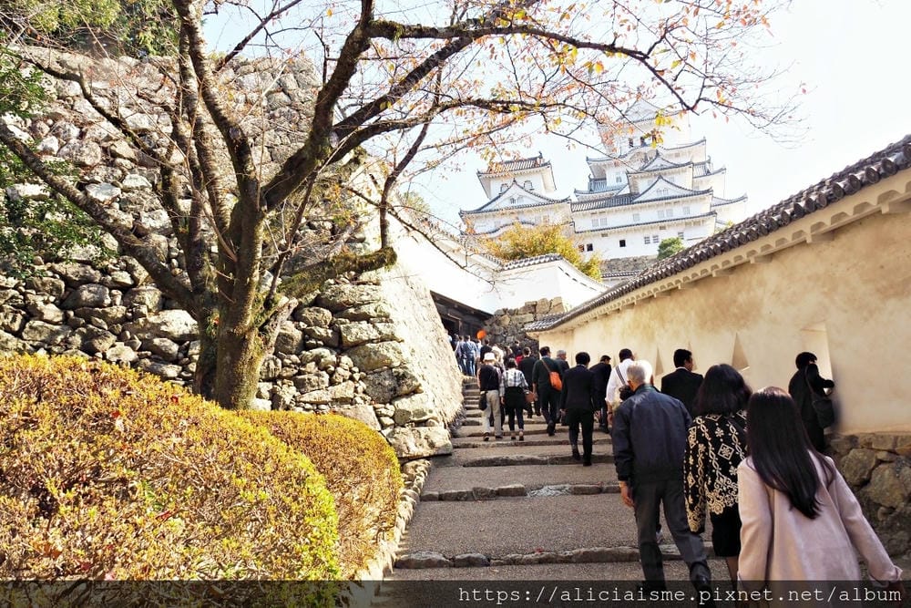 【兵庫縣】姬路城：白鷺再現絕美麗姿，抓對重點才能欣賞400年歷史的建築之美