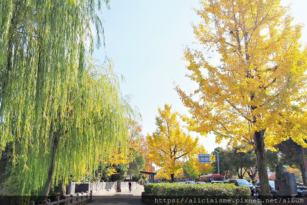 【兵庫縣】姬路城：白鷺再現絕美麗姿，抓對重點才能欣賞400年歷史的建築之美