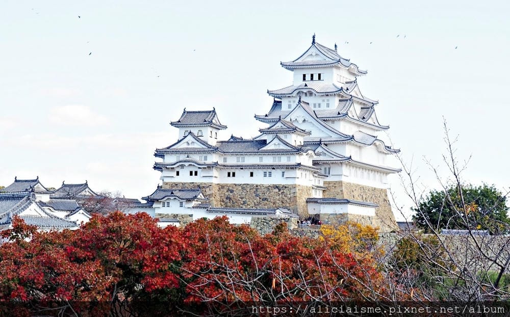 【兵庫縣】姬路城：白鷺再現絕美麗姿，抓對重點才能欣賞400年歷史的建築之美