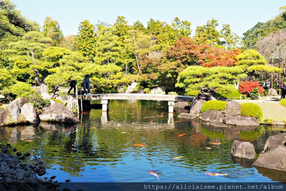【兵庫縣 | 姬路】好古園:電影《神劍闖江湖》裡的日式庭園美學,生意盎然的小宇宙