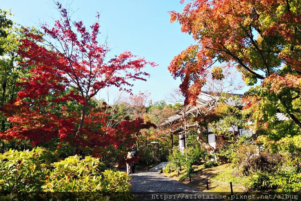 【兵庫縣 | 姬路】好古園:電影《神劍闖江湖》裡的日式庭園美學,生意盎然的小宇宙
