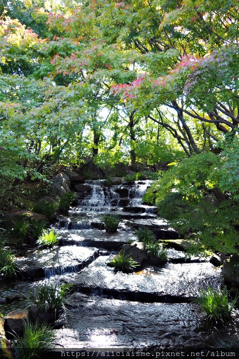 【兵庫縣 | 姬路】好古園:電影《神劍闖江湖》裡的日式庭園美學,生意盎然的小宇宙