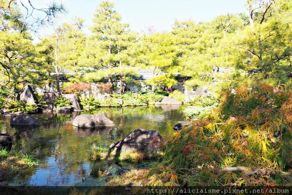 【兵庫縣 | 姬路】好古園:電影《神劍闖江湖》裡的日式庭園美學,生意盎然的小宇宙