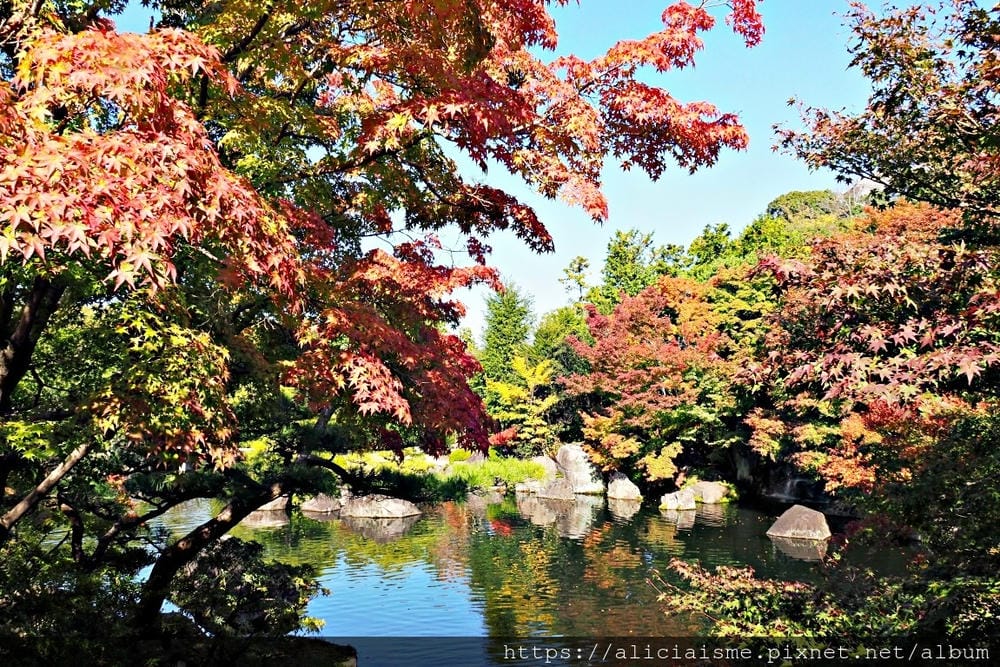 【兵庫縣 | 姬路】好古園:電影《神劍闖江湖》裡的日式庭園美學,生意盎然的小宇宙