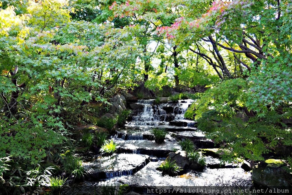 【兵庫縣 | 姬路】好古園:電影《神劍闖江湖》裡的日式庭園美學,生意盎然的小宇宙