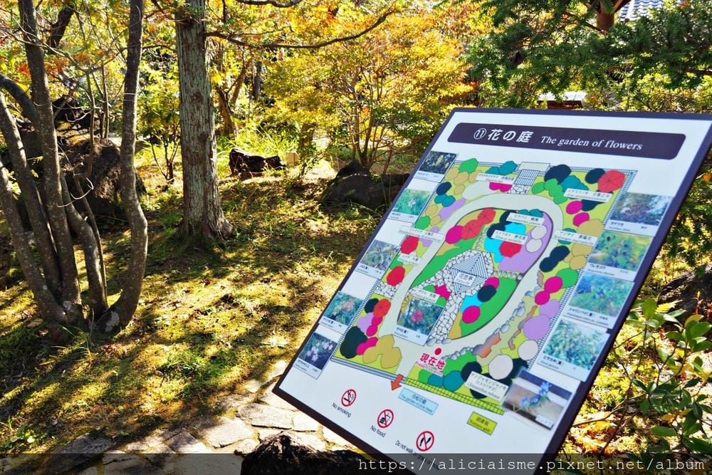 【兵庫縣 | 姬路】好古園:電影《神劍闖江湖》裡的日式庭園美學,生意盎然的小宇宙