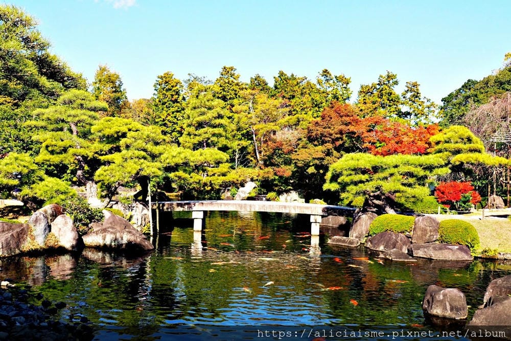 【兵庫縣 | 姬路】好古園:電影《神劍闖江湖》裡的日式庭園美學,生意盎然的小宇宙