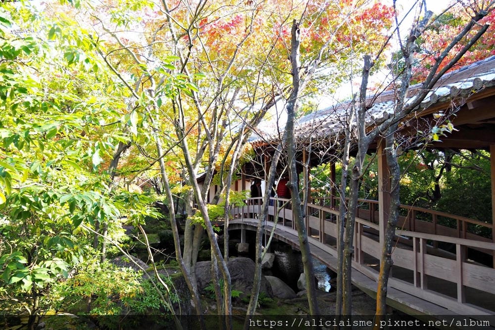 【兵庫縣 | 姬路】好古園:電影《神劍闖江湖》裡的日式庭園美學,生意盎然的小宇宙