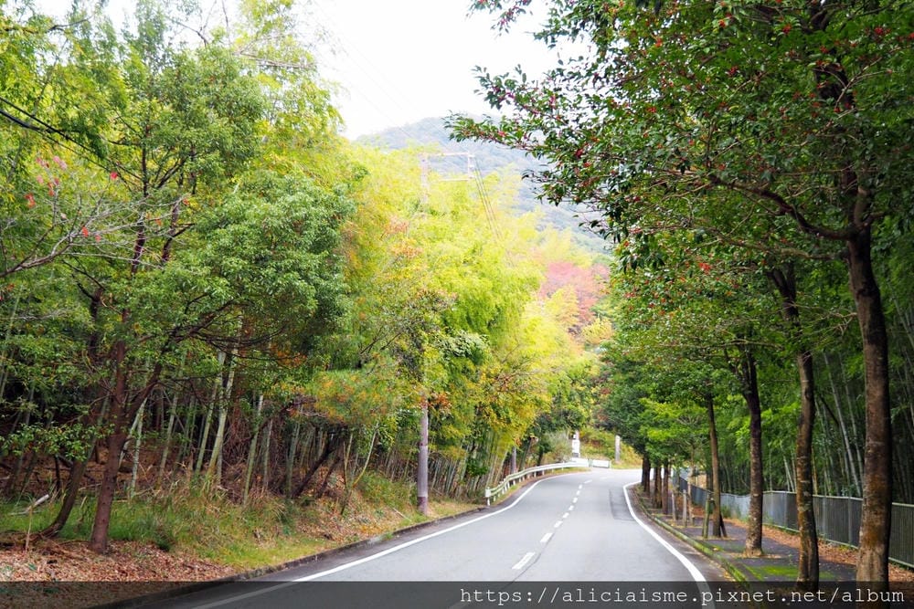 【兵庫縣 | 姬路】安藤忠雄X兵庫縣立兒童館、星子之館：湖畔森林裡，最幸福的親子美學遊樂地