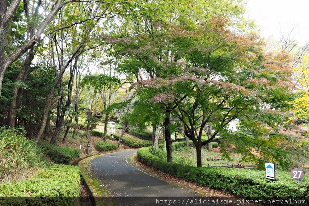【兵庫縣 | 姬路】安藤忠雄X兵庫縣立兒童館、星子之館：湖畔森林裡，最幸福的親子美學遊樂地