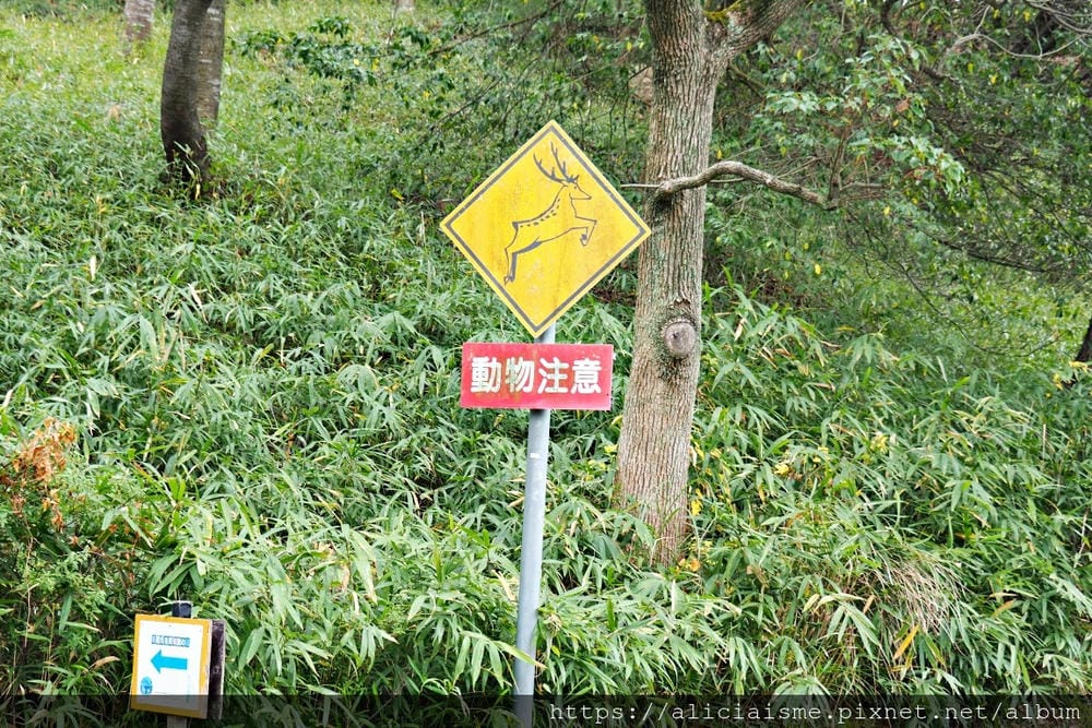 【兵庫縣 | 姬路】安藤忠雄X兵庫縣立兒童館、星子之館：湖畔森林裡，最幸福的親子美學遊樂地