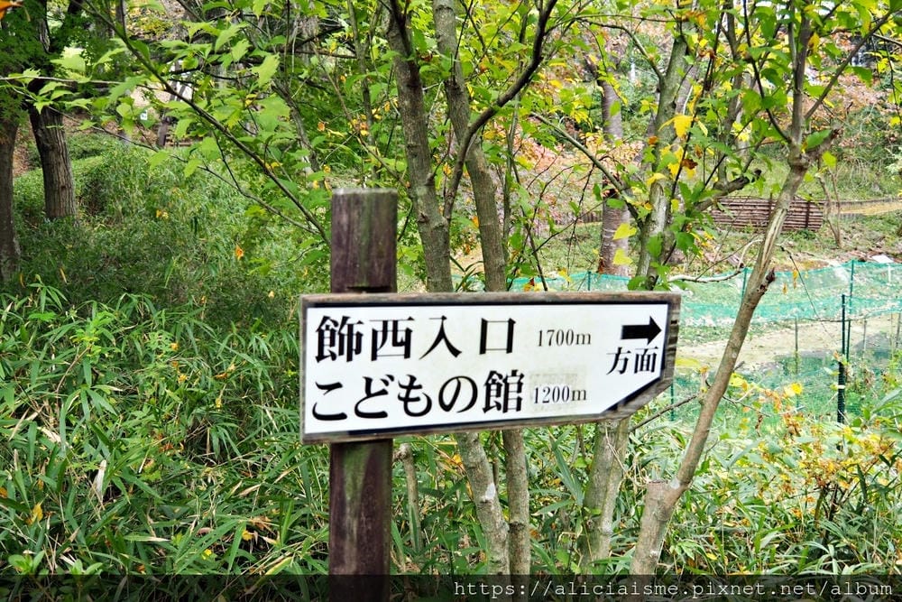 【兵庫縣 | 姬路】安藤忠雄X兵庫縣立兒童館、星子之館：湖畔森林裡，最幸福的親子美學遊樂地
