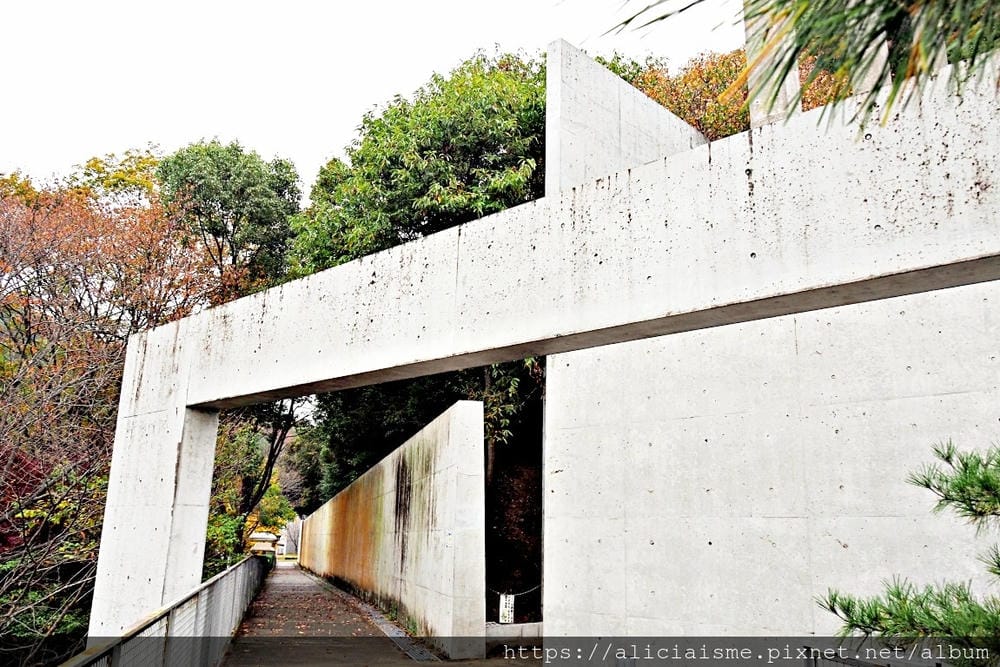 【兵庫縣 | 姬路】安藤忠雄X兵庫縣立兒童館、星子之館：湖畔森林裡，最幸福的親子美學遊樂地