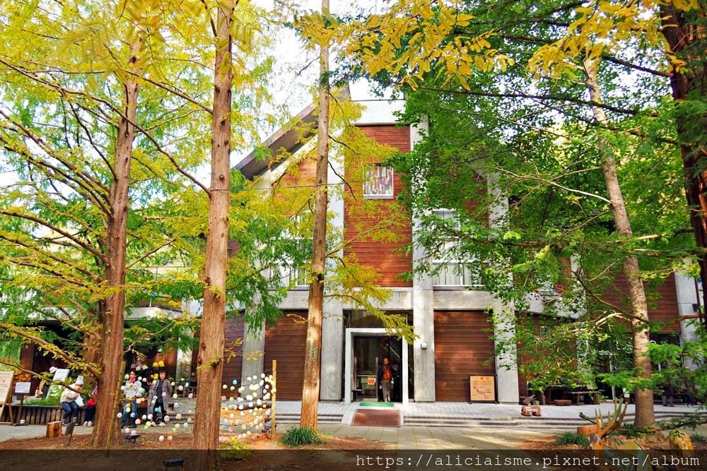 【兵庫縣 | 神戶】神戶市立森林植物園:走進森林裡的湖光秘境