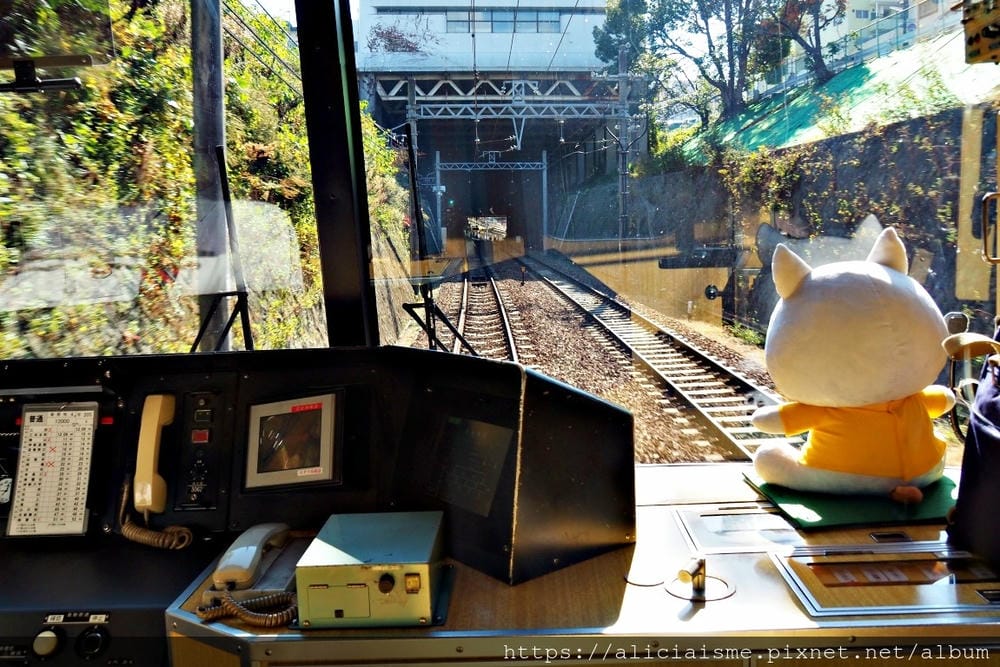【兵庫縣 | 神戶】神戶市立森林植物園:走進森林裡的湖光秘境