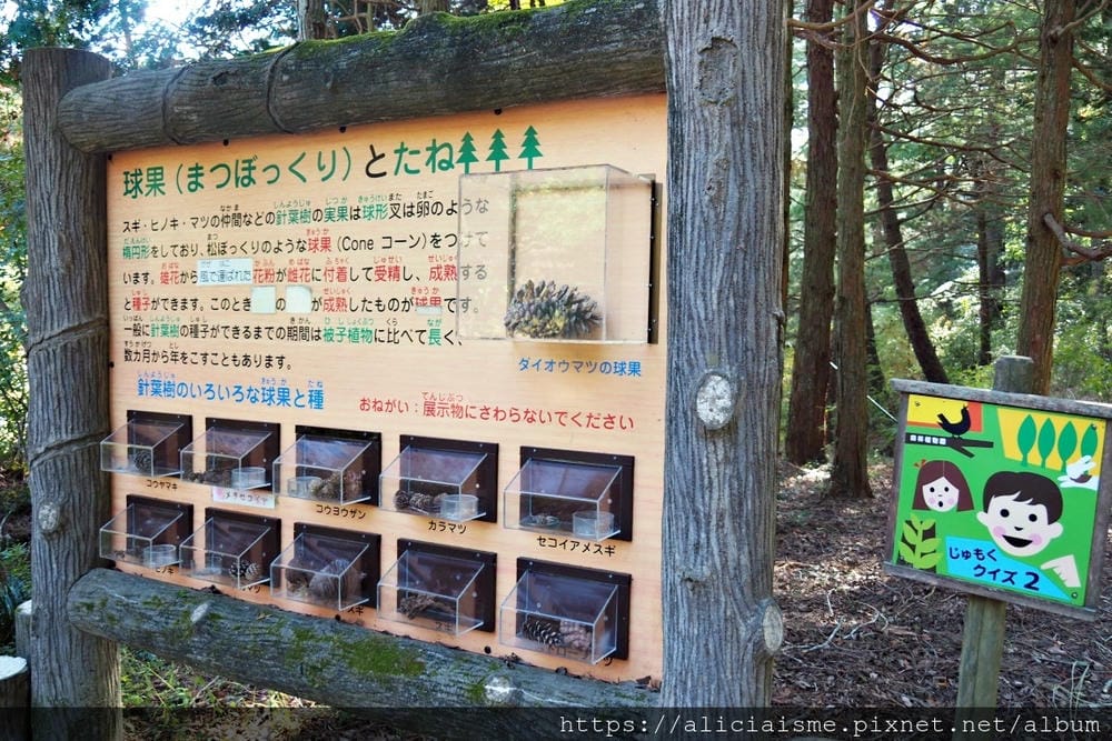【兵庫縣 | 神戶】神戶市立森林植物園:走進森林裡的湖光秘境