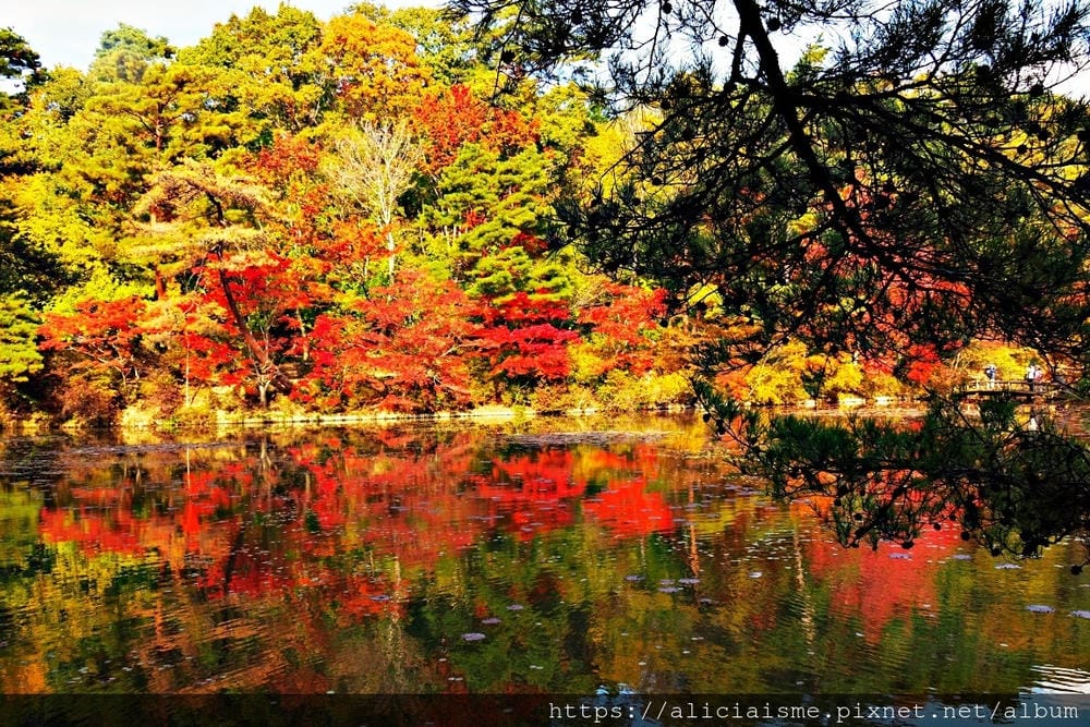【兵庫縣 | 神戶】神戶市立森林植物園:走進森林裡的湖光秘境