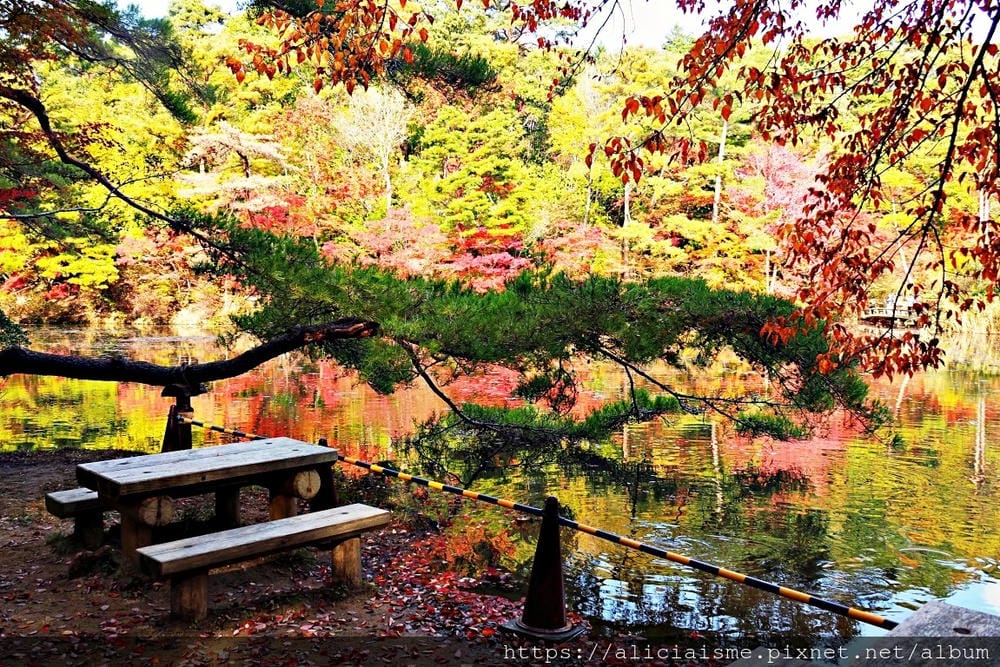 【兵庫縣 | 神戶】神戶市立森林植物園:走進森林裡的湖光秘境