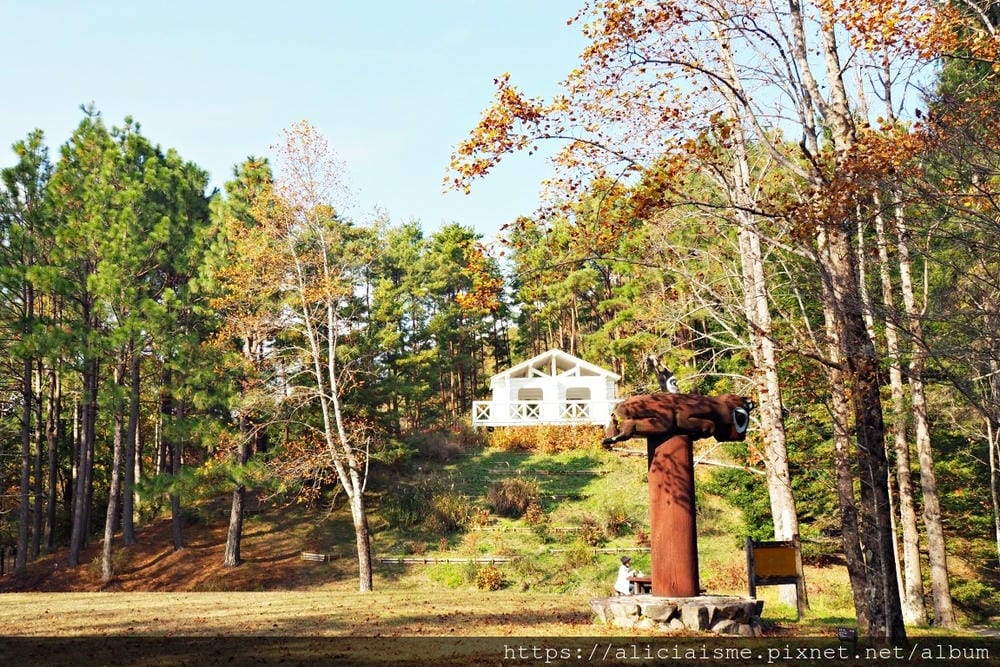 【兵庫縣 | 神戶】神戶市立森林植物園:走進森林裡的湖光秘境