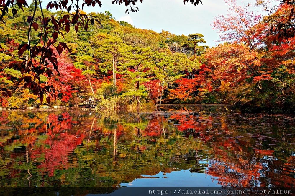【兵庫縣 | 神戶】神戶市立森林植物園:走進森林裡的湖光秘境