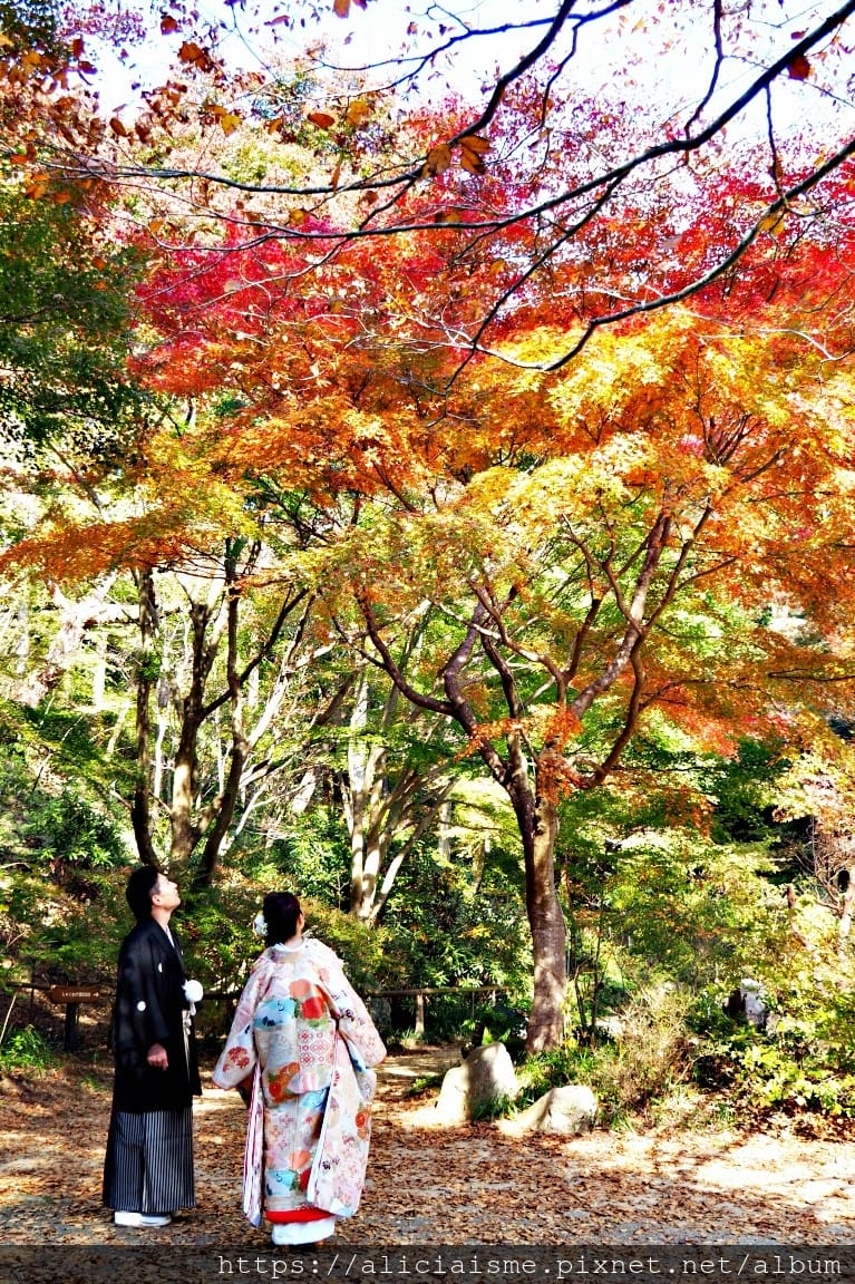 【兵庫縣 | 神戶】神戶市立森林植物園：走進森林裡的湖光秘境