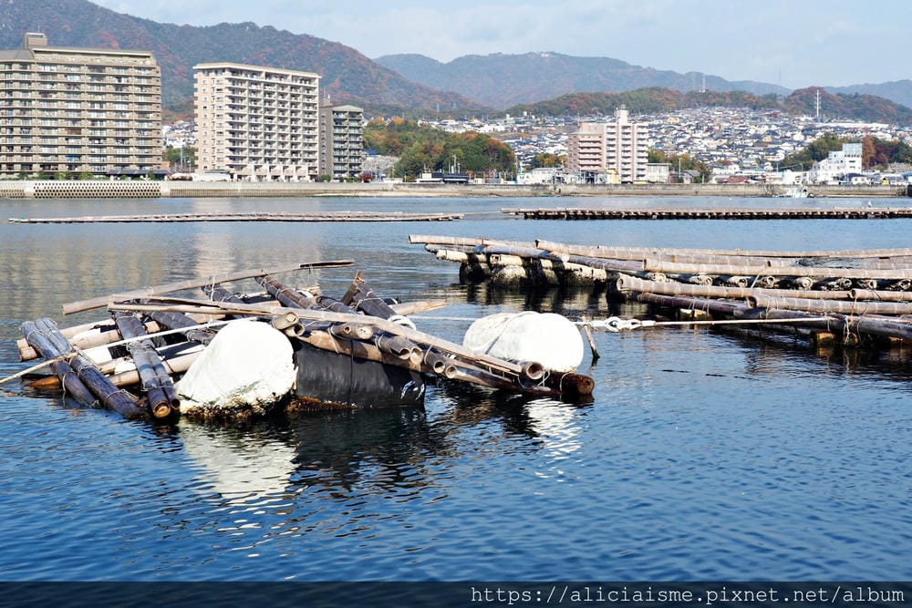 【廣島縣 | 宮島】島田水產~跟著漁師,近觀海上牡蠣筏、採收 【廣島縣 | 宮島】島田水產~跟著漁師,近觀海上牡蠣筏、採收