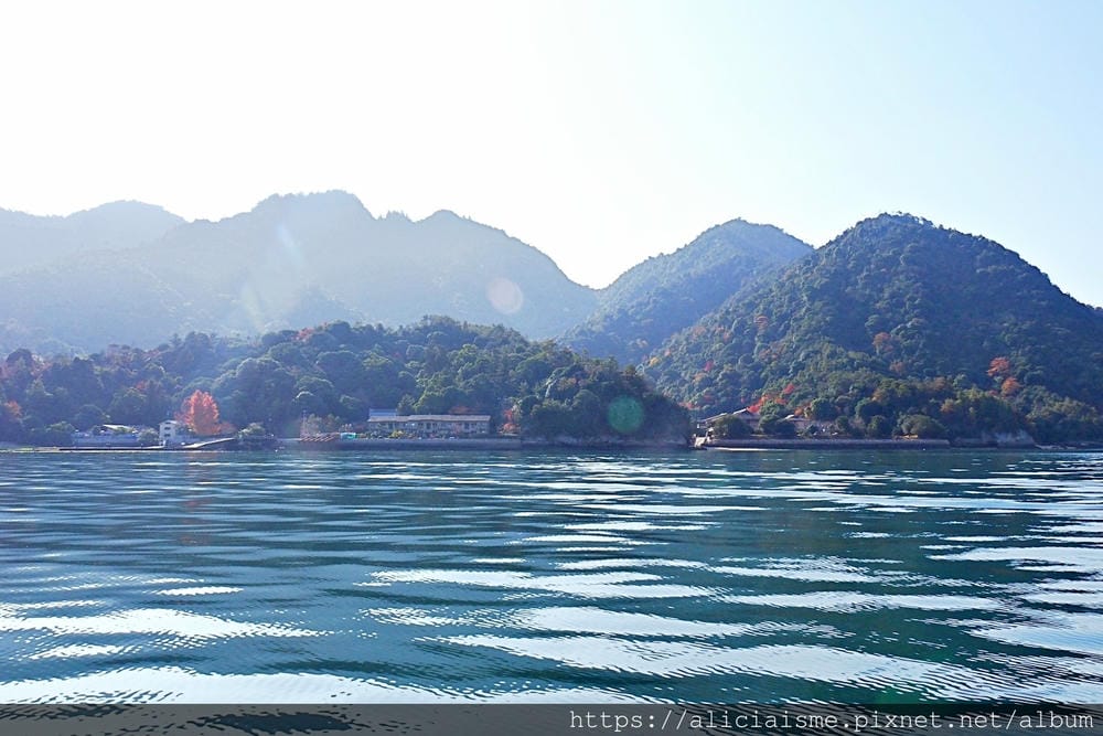 【廣島縣 | 宮島】島田水產~跟著漁師,近觀海上牡蠣筏、採收 【廣島縣 | 宮島】島田水產~跟著漁師,近觀海上牡蠣筏、採收